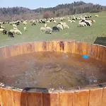 Cosy - Las, Jezioro, Gory, Velo Czorsztyn, Prywatna Sauna, Jacuzzi Bez Limitu *