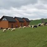 Cosy - Las, Jezioro, Gory, Velo Czorsztyn, Prywatna Sauna, Jacuzzi Bez Limitu * Kluszkowce