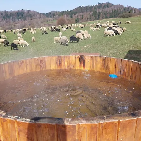 Cosy - Las, Jezioro, Gory, Velo Czorsztyn, Prywatna Sauna, Jacuzzi Bez Limitu *