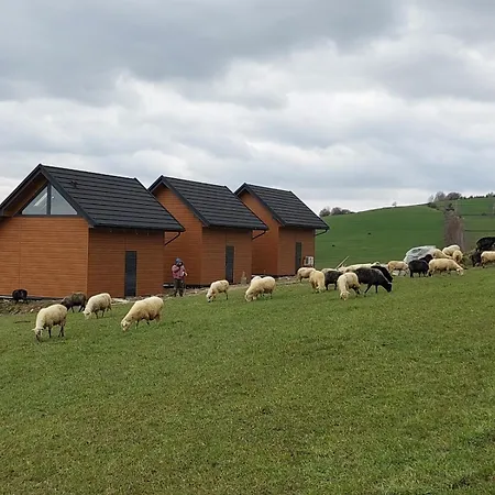 Cosy - Las, Jezioro, Gory, Prywatna Sauna, Balia Bez Limitu * Kluszkowce